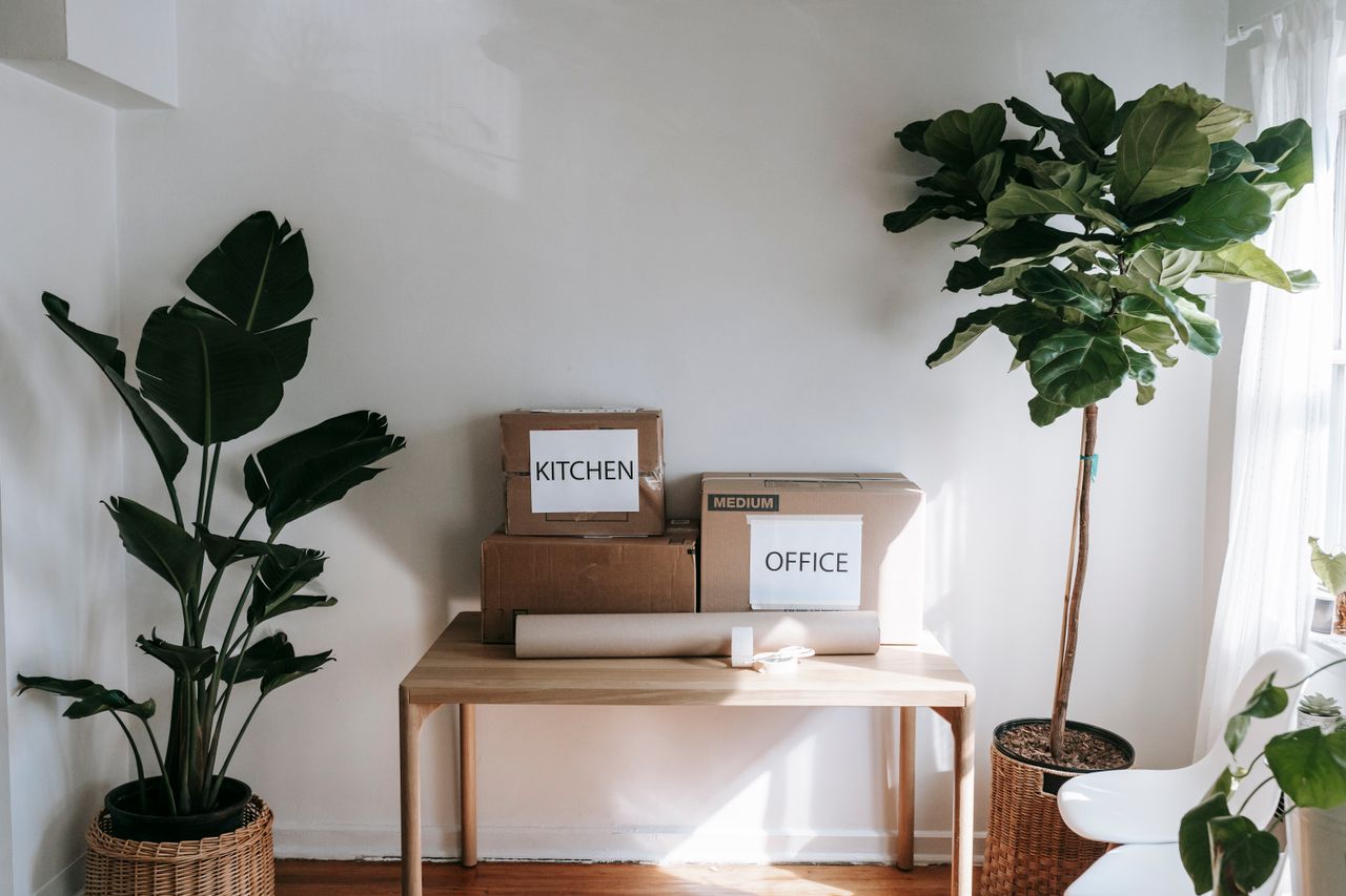 Intérieur élégant avec des cartons de déménagement étiquetés Kitchen et Office sur une table en bois, entourée de plantes d'intérieur.